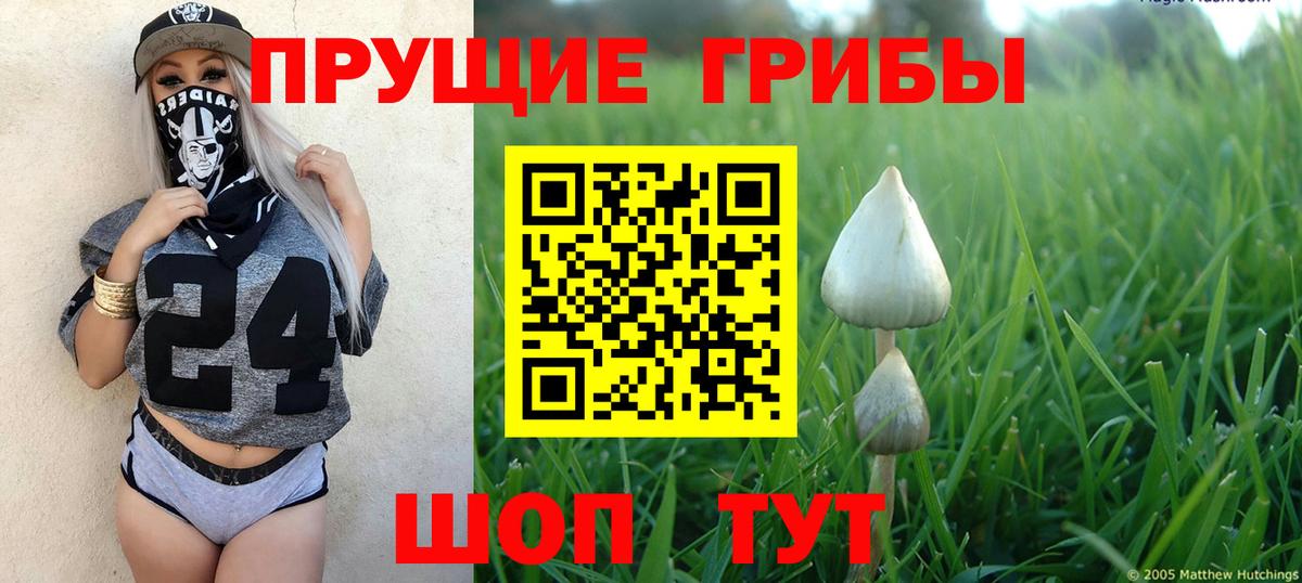 Галлюциногенные грибы прущие грибы Артём