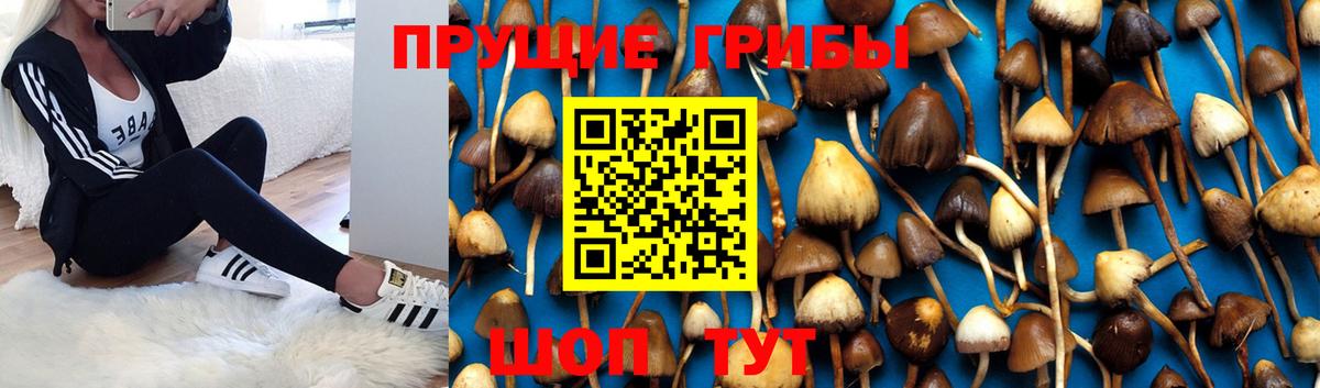 Галлюциногенные грибы мухоморы  Вход с VPN  Артём 